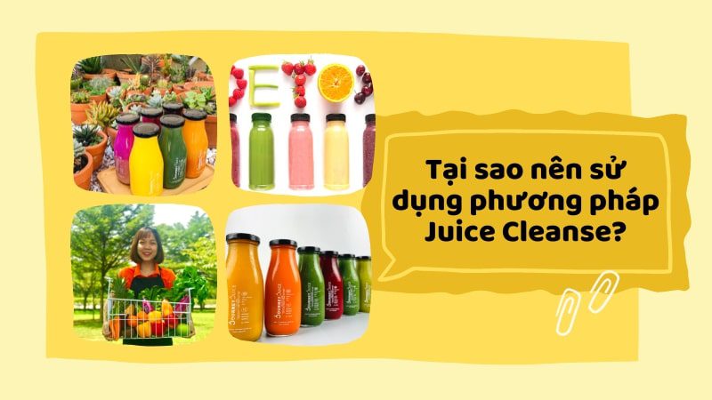 Những lý do mà bạn nên lựa chọn phương pháp Juice Cleanse