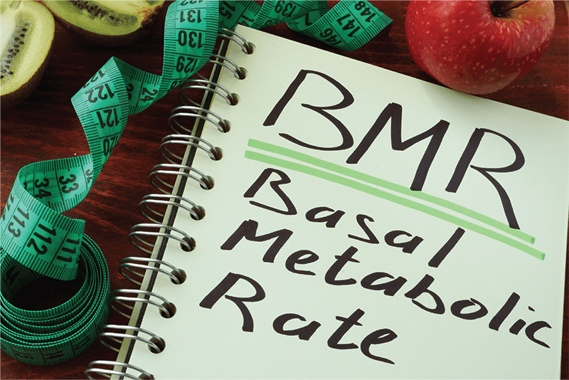 Phương pháp giảm cân - Tính BMR