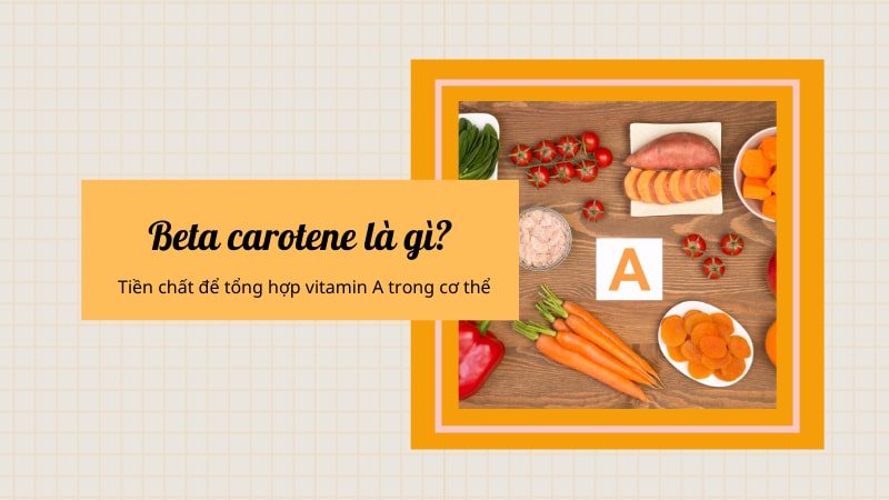 Beta carotene là chất gì?
